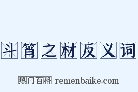 斗筲之材反义词是什么意思的图片